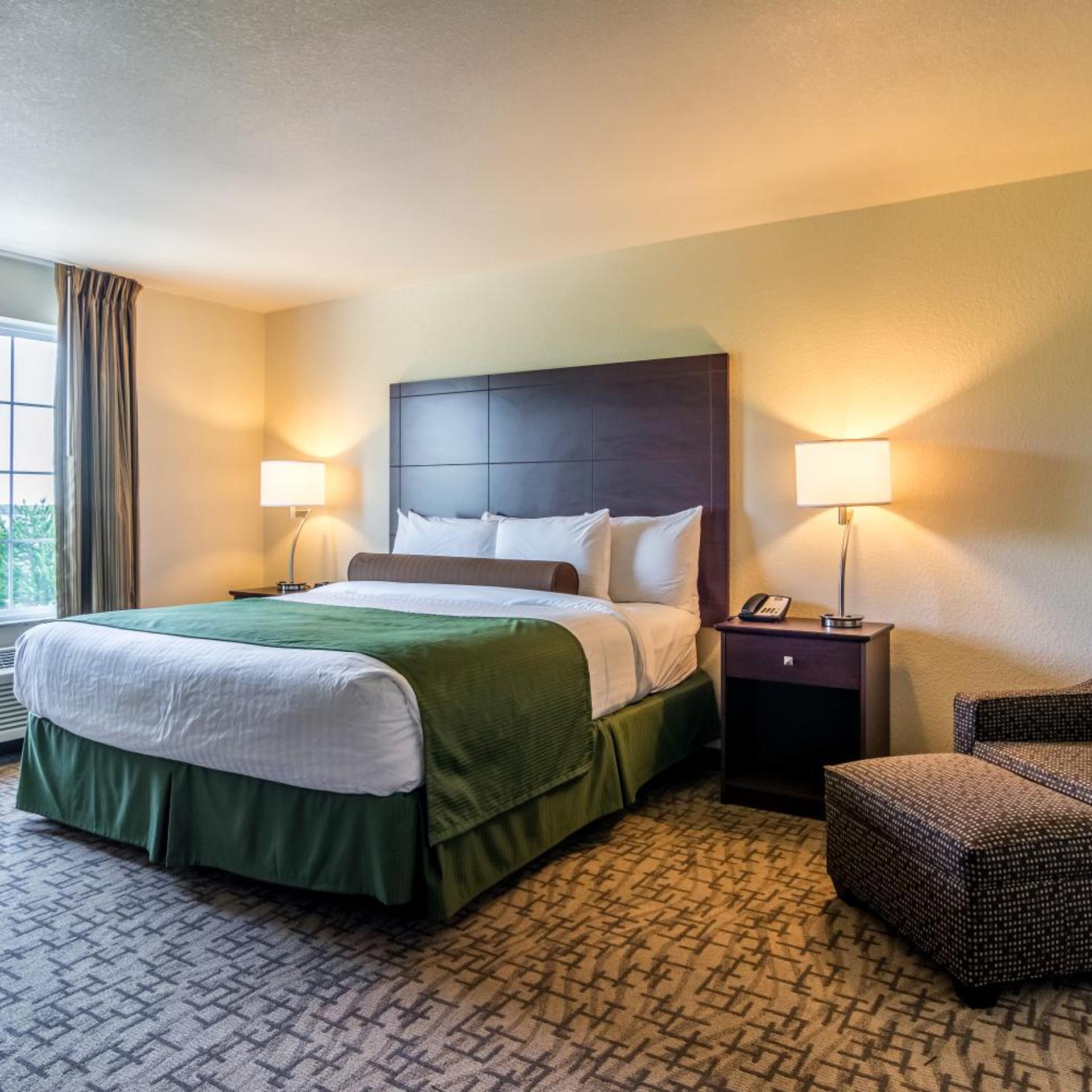 1 Bedroom, Suite