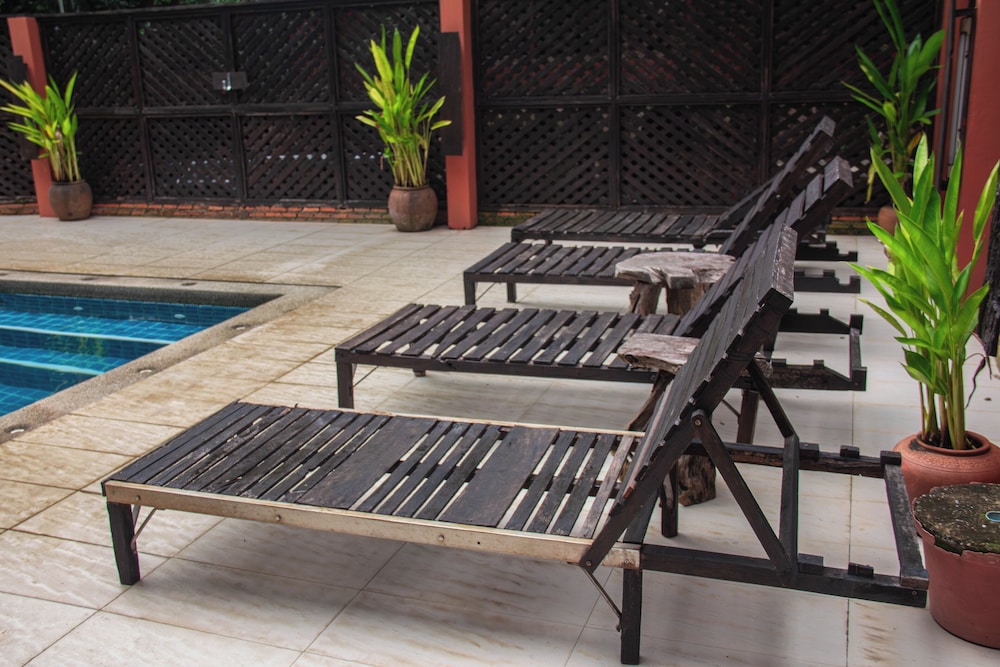 Rainforest Chiangmai Hotel 51/81