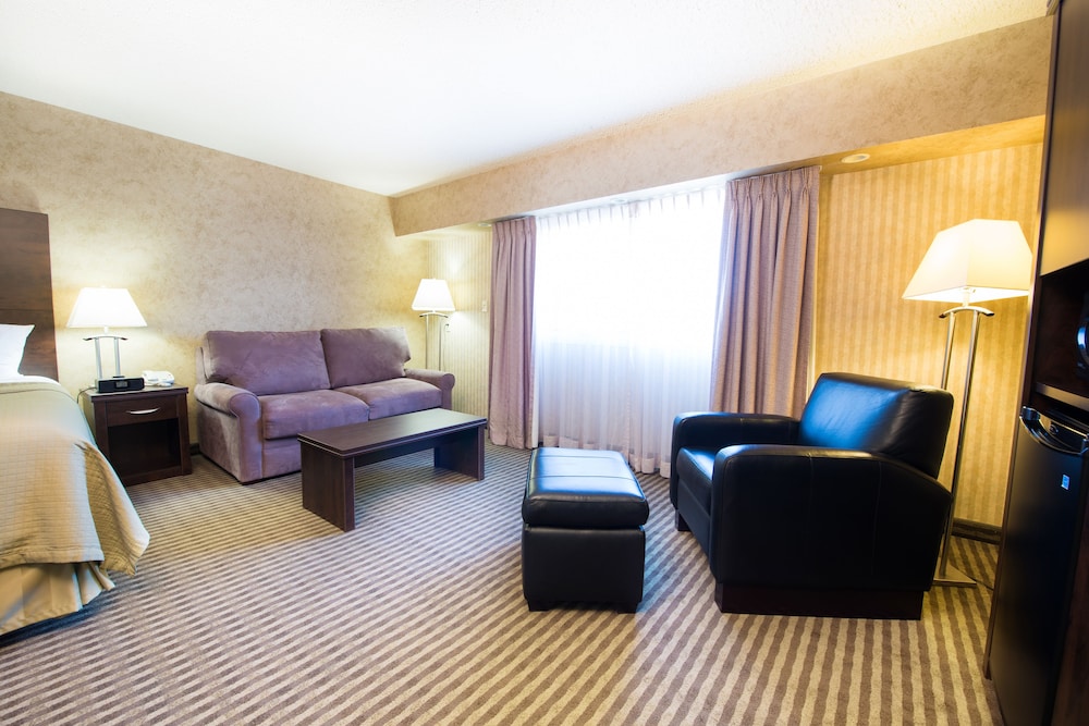 Victoria Inn Hotel Convention Centre Brandon 35/54