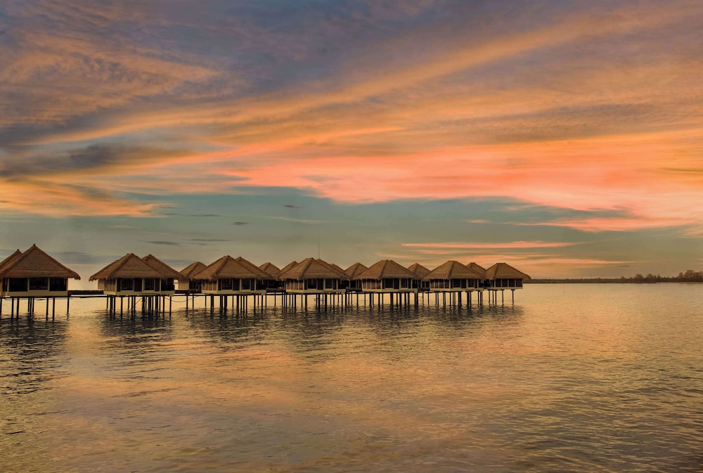 Golden Palm Tree Sepang 30/34