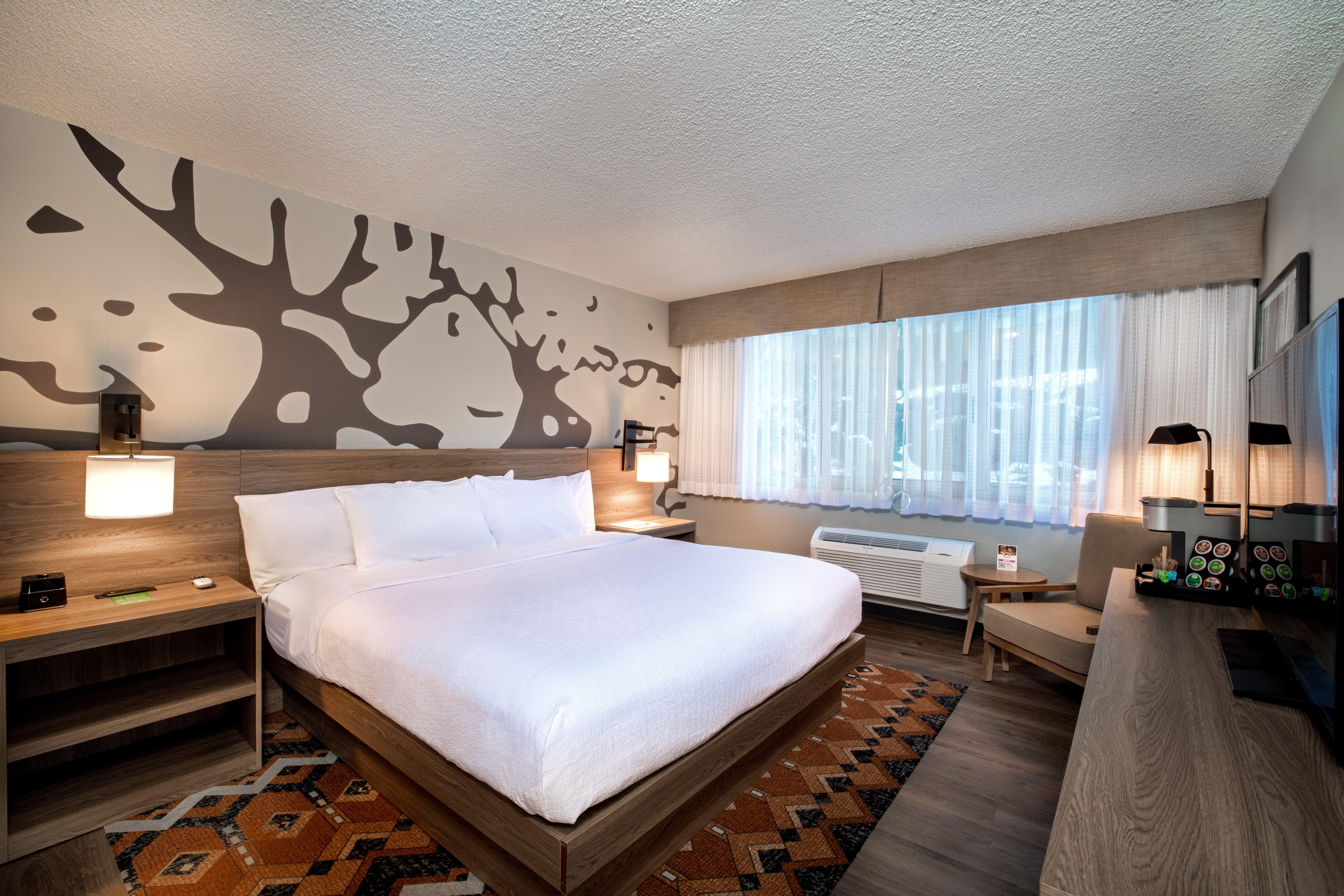 Standard, King Bed, Partial Mountain View
