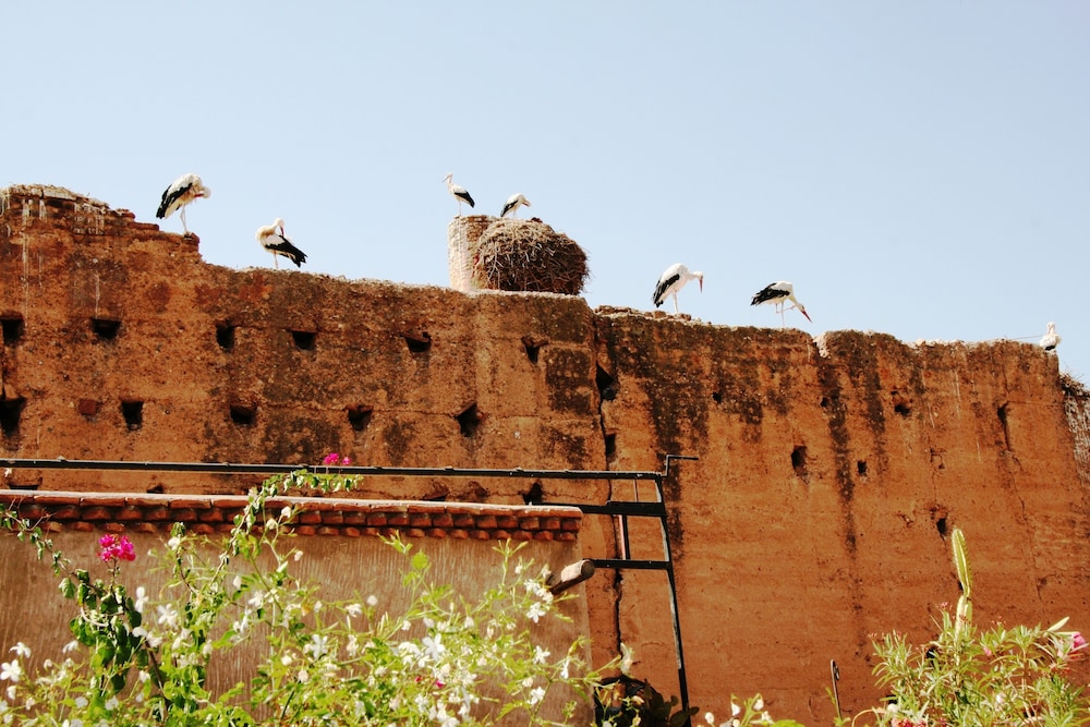 Riad Carina 67/75
