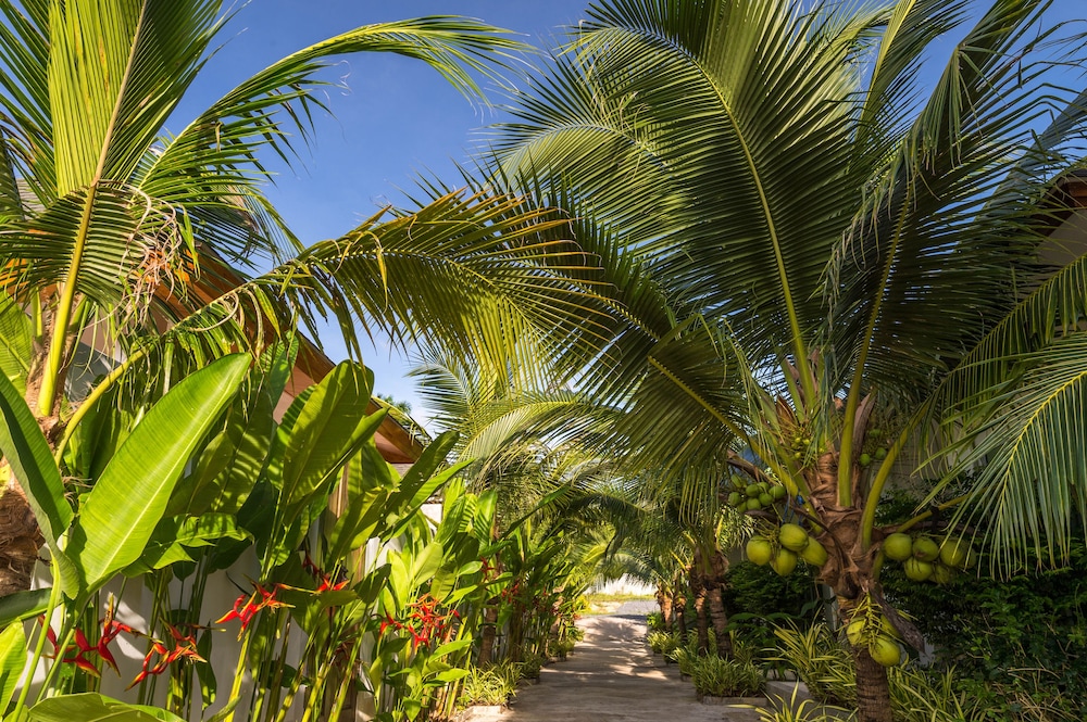 Amadha Villas Retreat 46/50