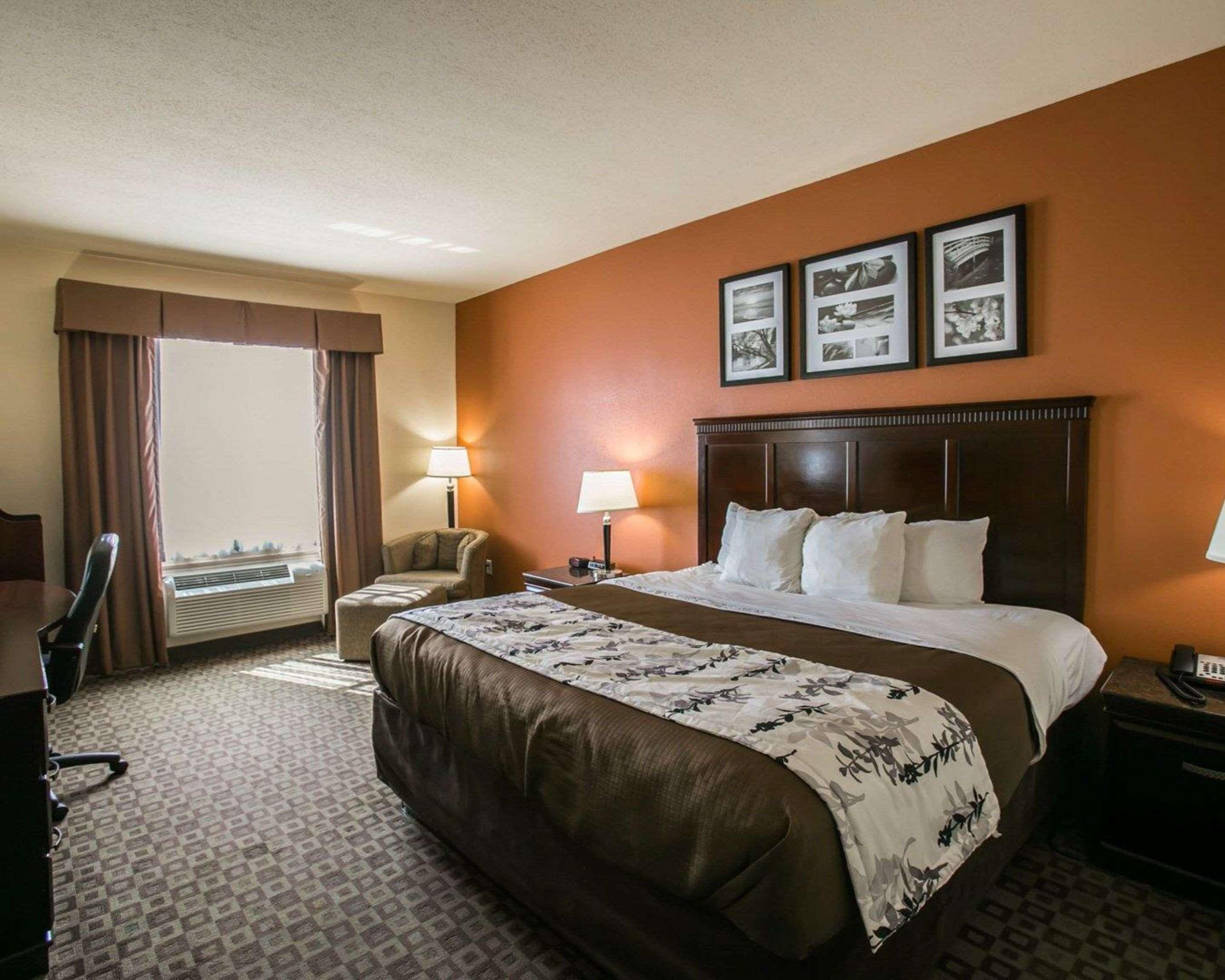 ROOM, KING BED, ACCESSIBLE