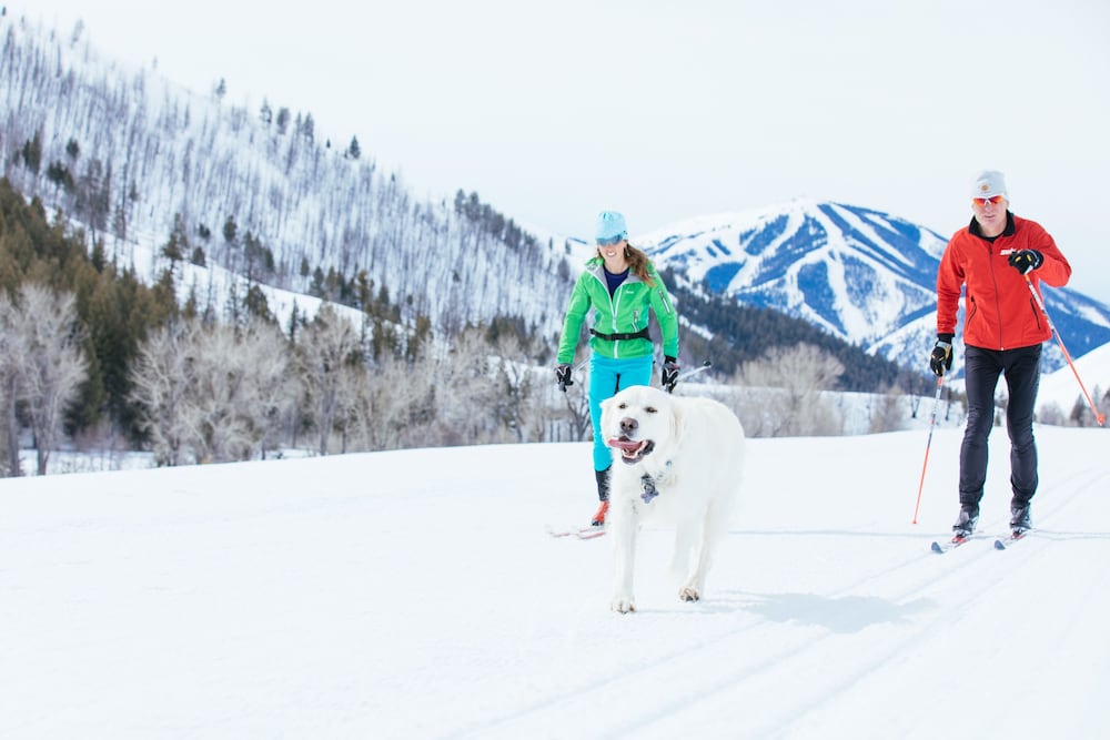 Sun Valley Resort 27/50