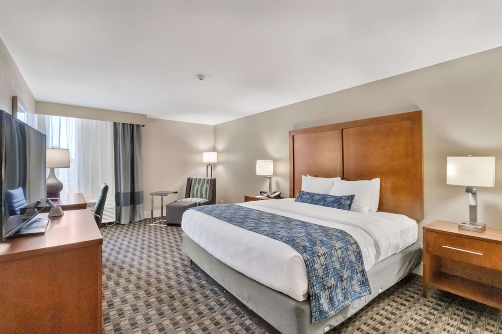 Best Western Plus Greenville I-385 Inn & Suites 14/53