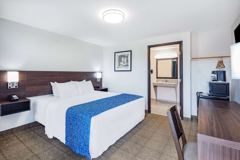 Standard, King Bed, Accessible