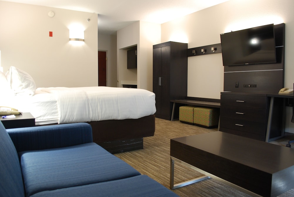 Holiday Inn Express Hotel and Suites Kingsport-Meadowview I-26 12/30