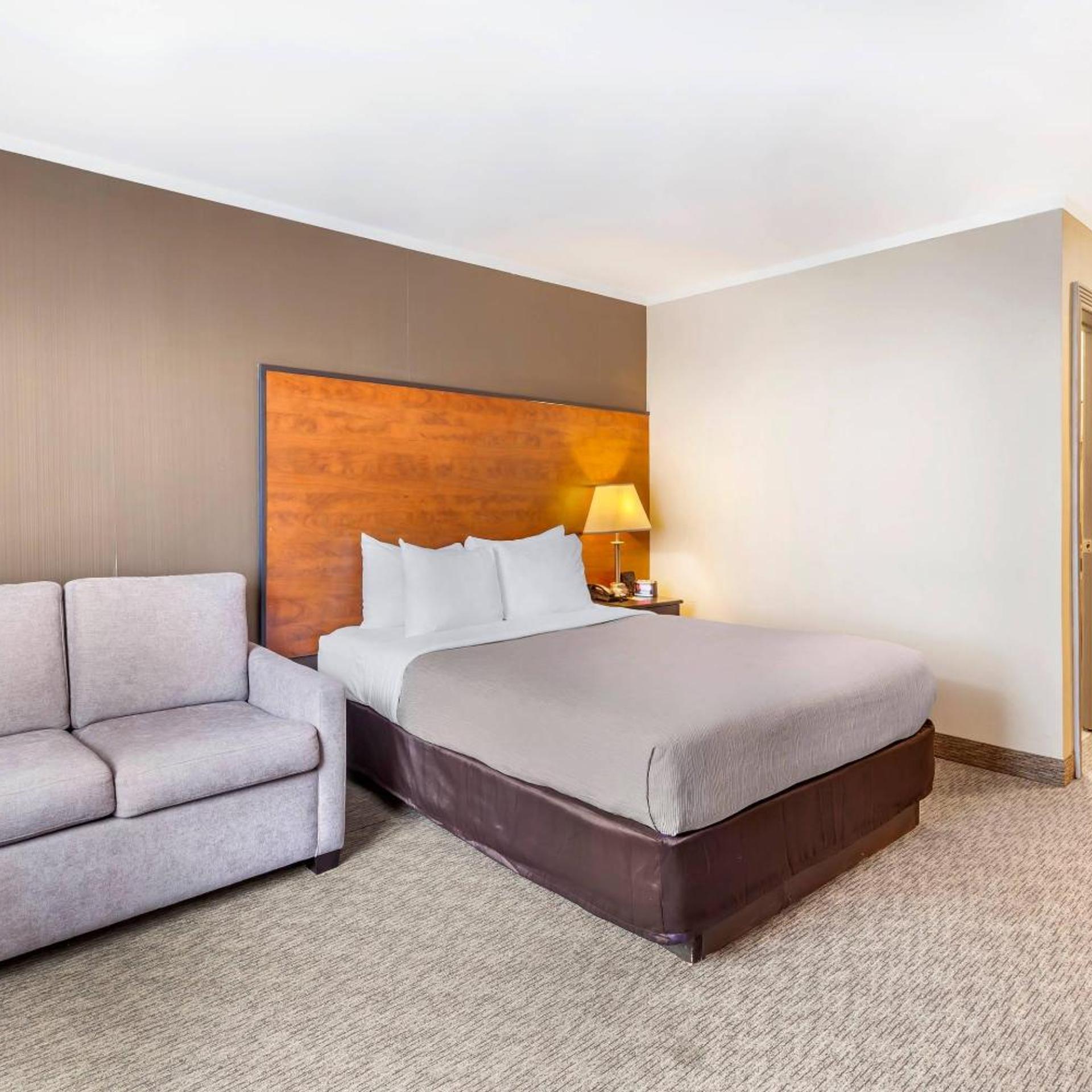 Room, Queen Bed, Sofa