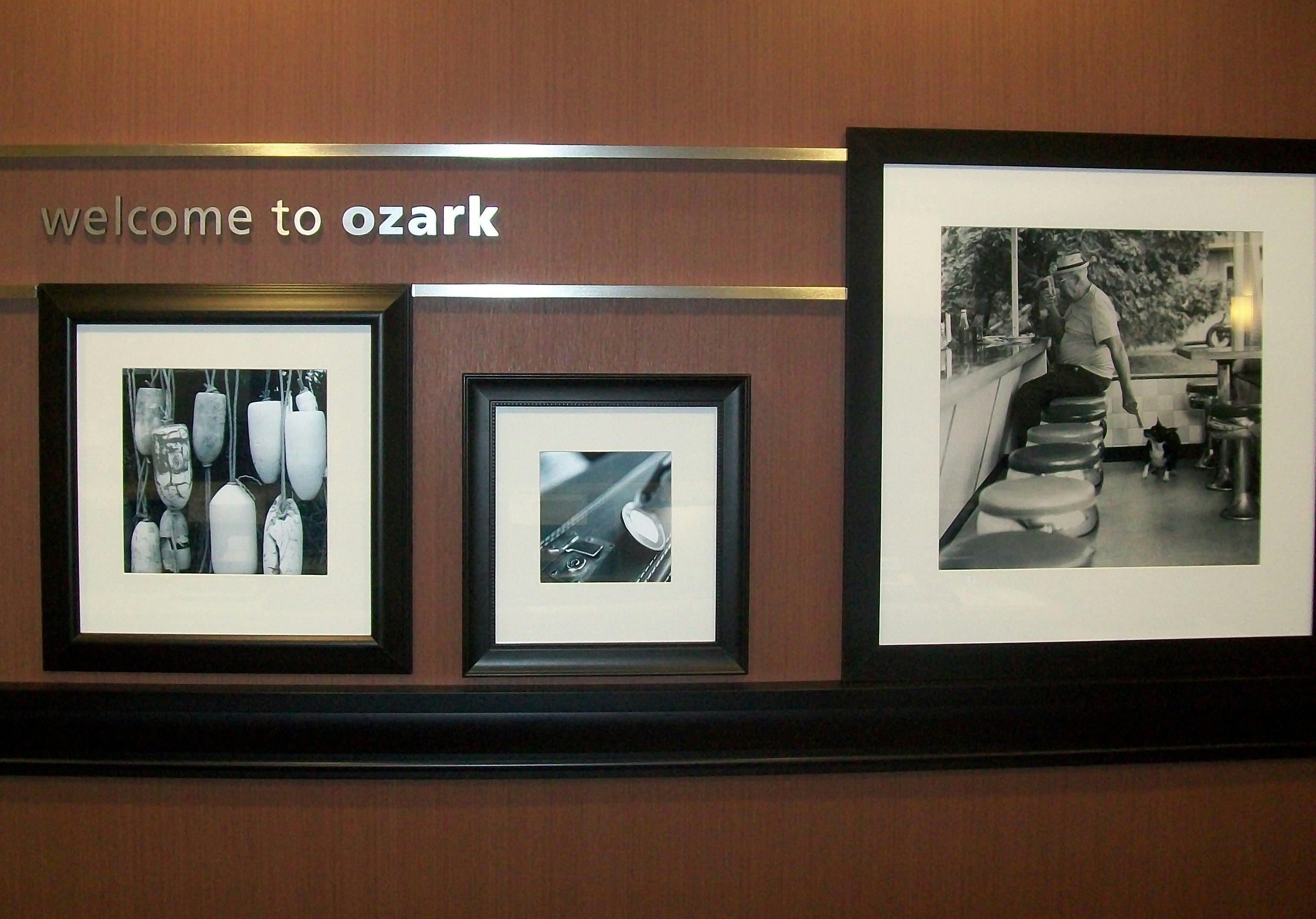 Hampton Inn Ozark 24/43