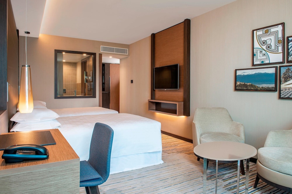 Sheraton Grand Tbilisi Metechi Palace 23/88