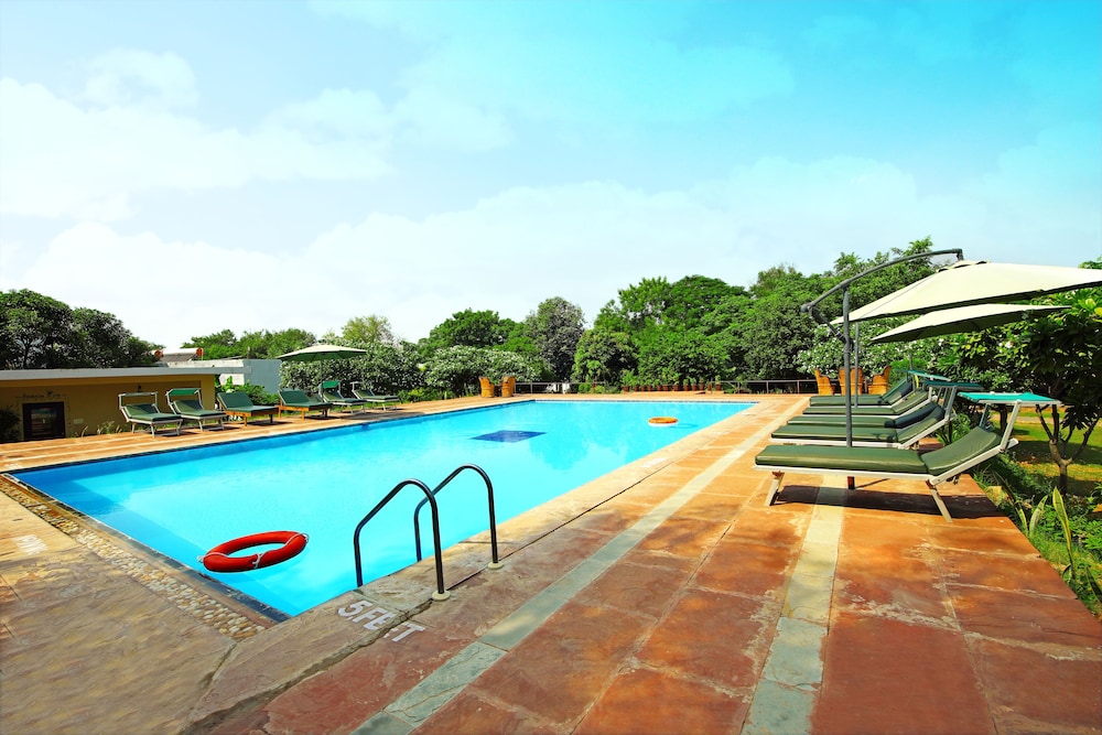 The Pugmark - A Wildlife Resort 18/45