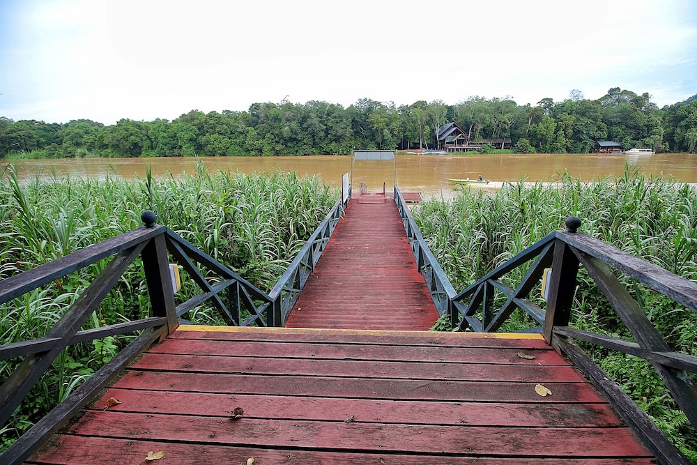 Nature Lodge Kinabatangan Sandakan 8/21
