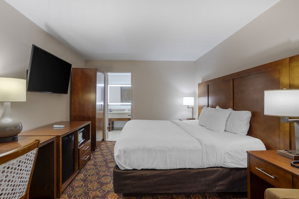 Comfort Inn Downtown Nashville - Music City Center 17/60