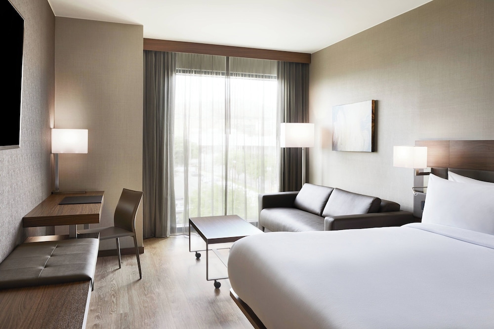 Room, King Bed, Sofa