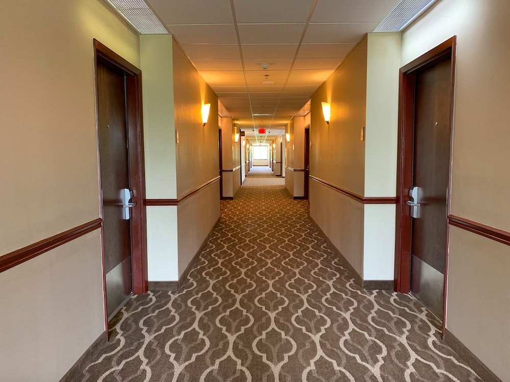 Comfort Suites Texas Ave. 8/28