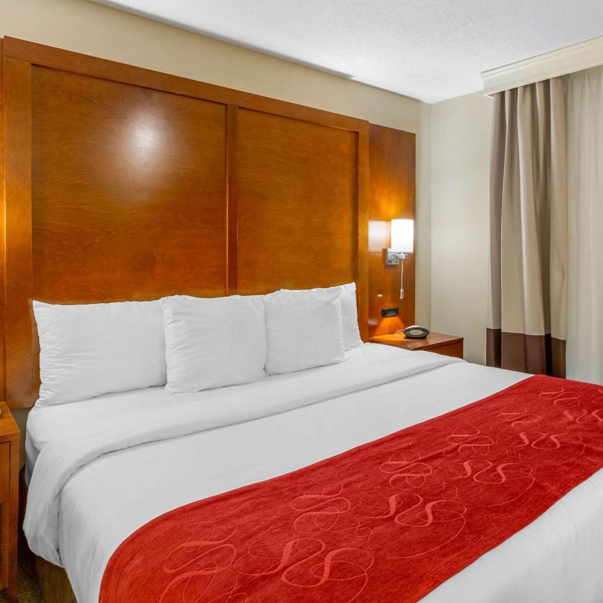 Suite, King Bed, Sofa
