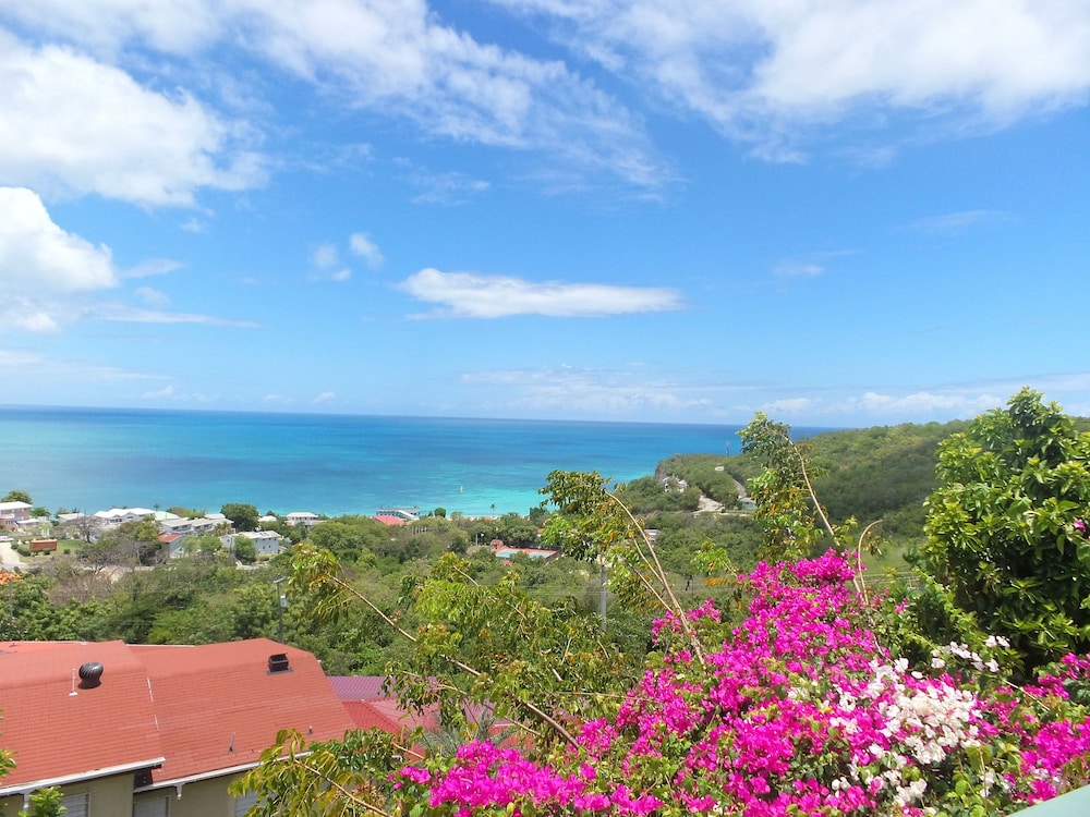 TRADE WINDS HOTEL 65/69
