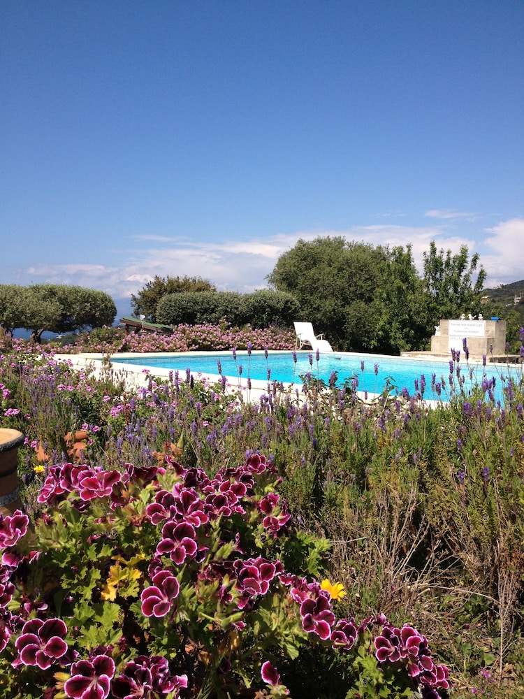 HOTEL CELINE photo4