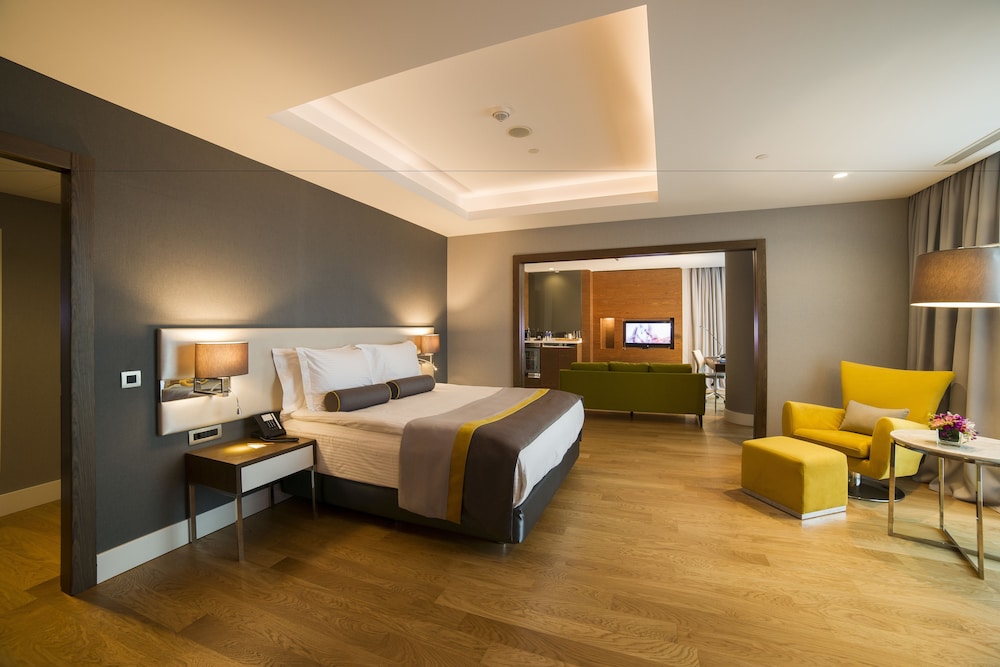 Radisson Blu Hotel, Kayseri 28/77