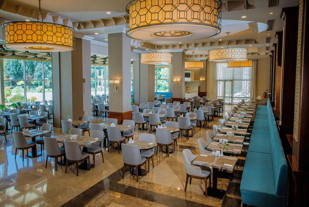 Ramada Plaza by Wyndham Mardin 38/48