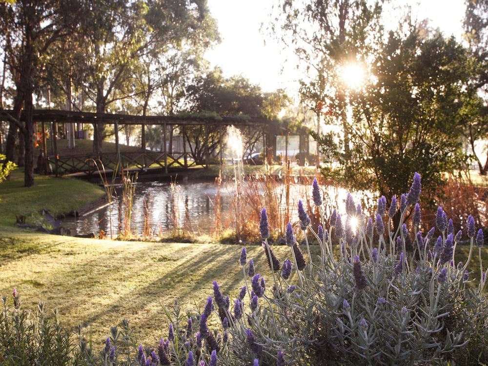 Hunter Valley Resort + Farm 33/37