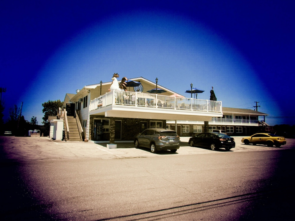 Brewer Motor Inn 3/25