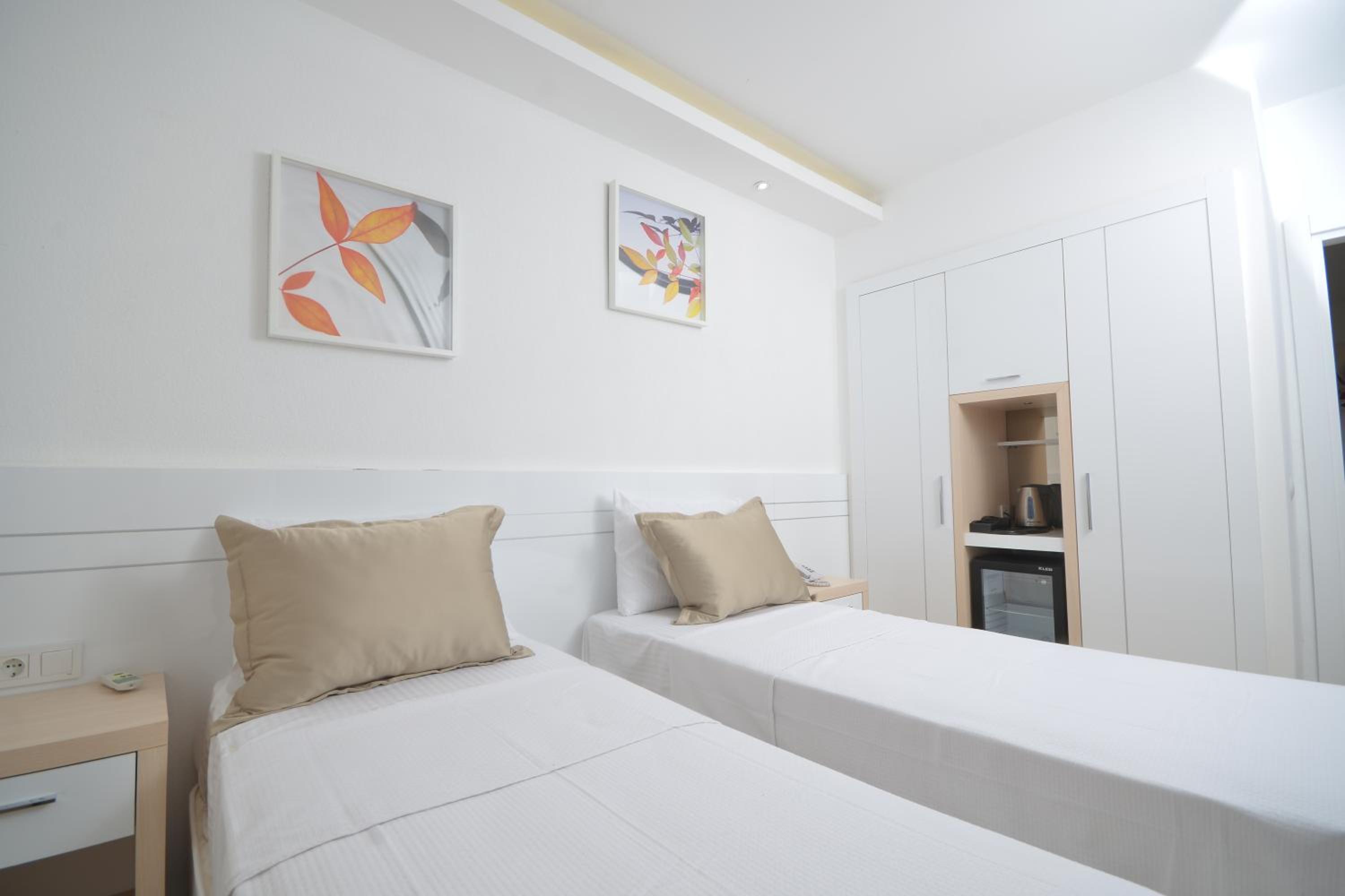 Basement, Suite, Terrace