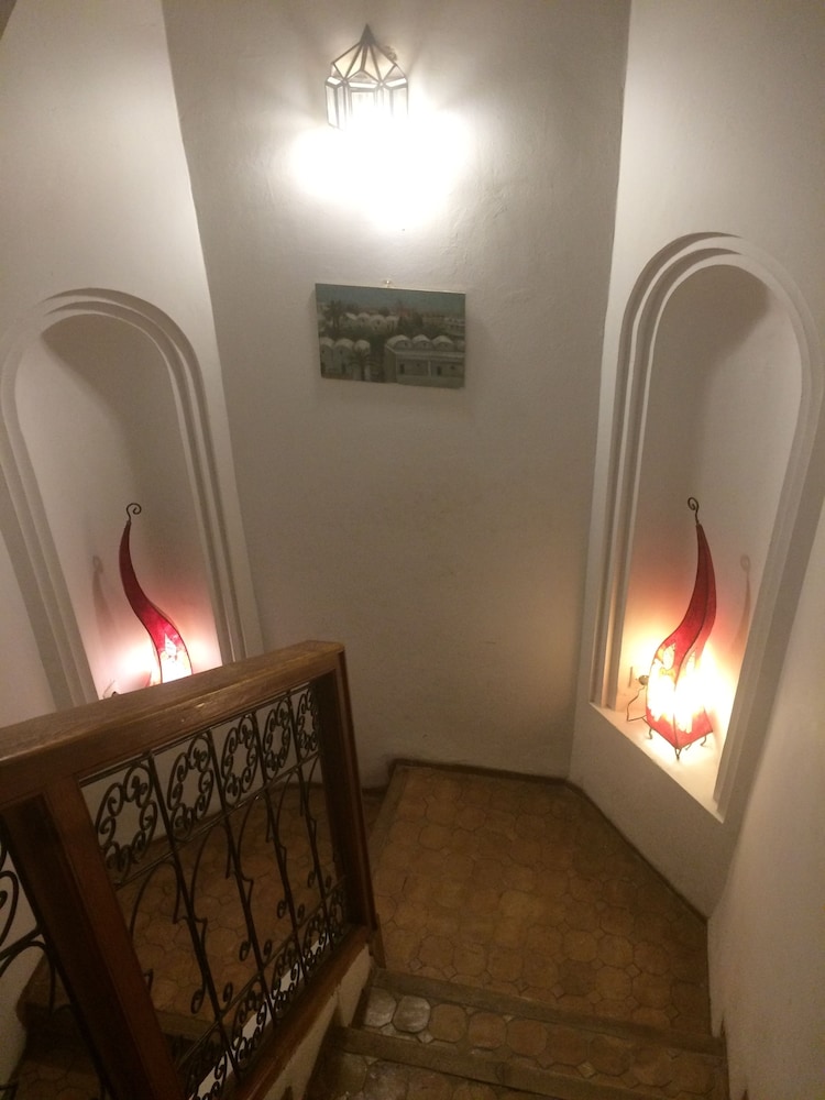 RIAD IRENE 7/50