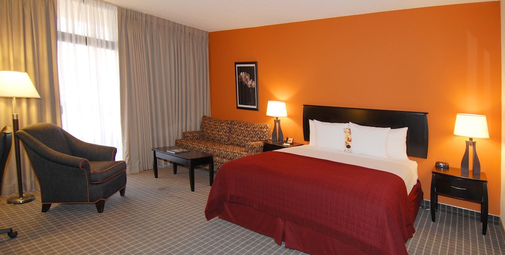 Oakland Airport Executive Hotel 18/65