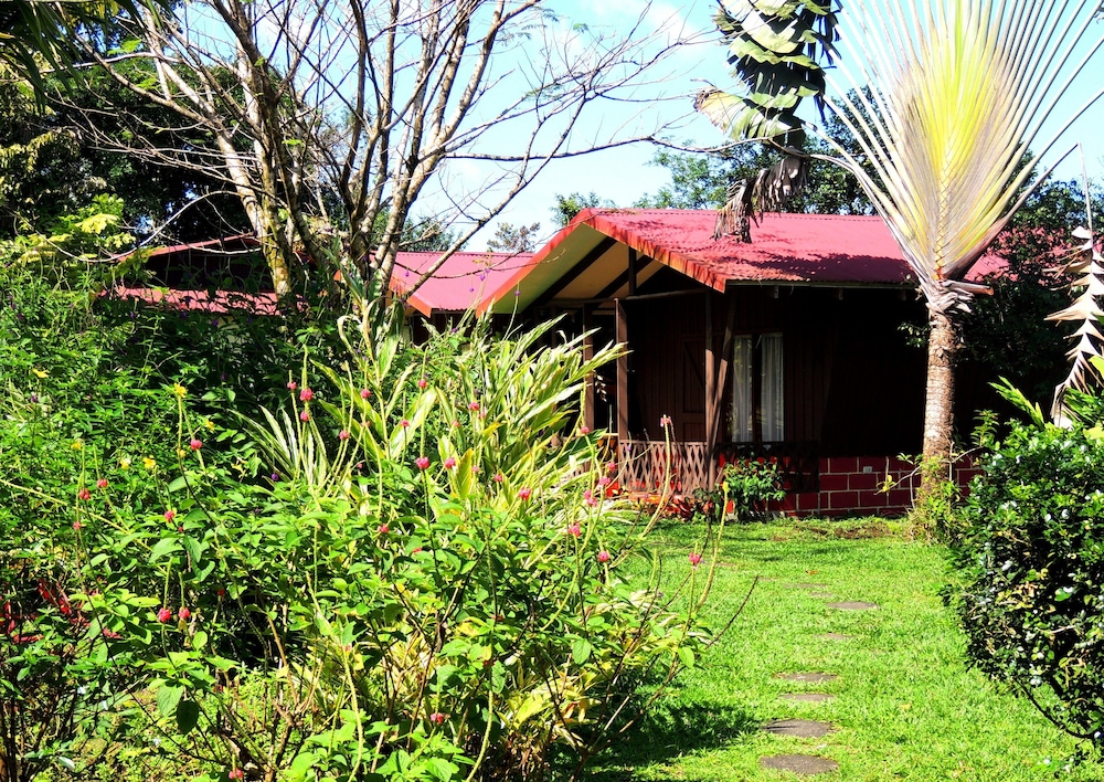 Cabinas Faro Arenal 37/50