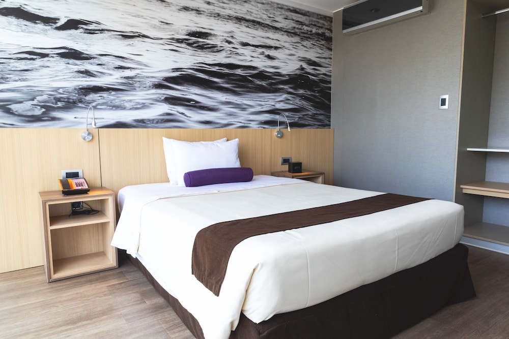 Palmetto Hotel Business San Borja 13/70