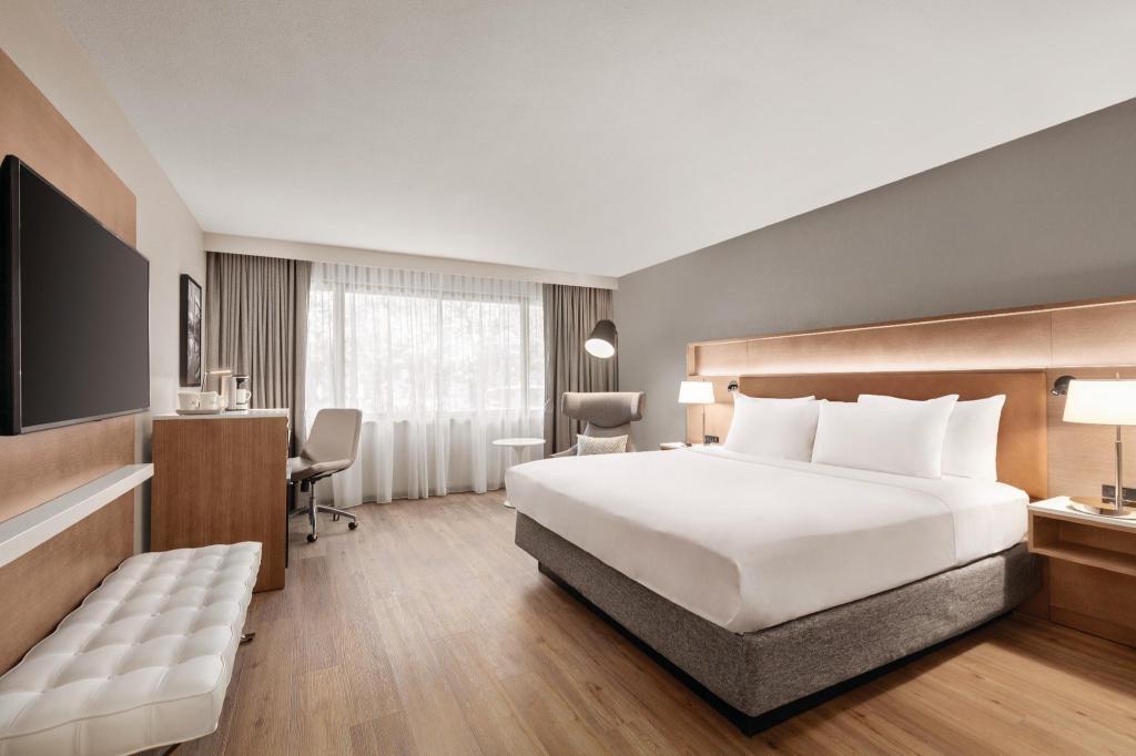 Upgrade, Suite, King Bed