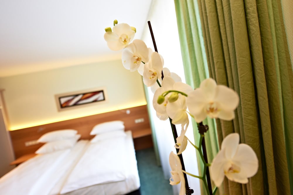Hirsch Hotel 26/66