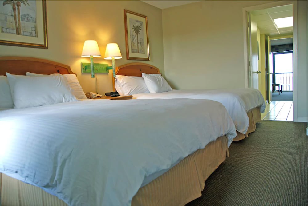 Windsurfer Hotel 12/49