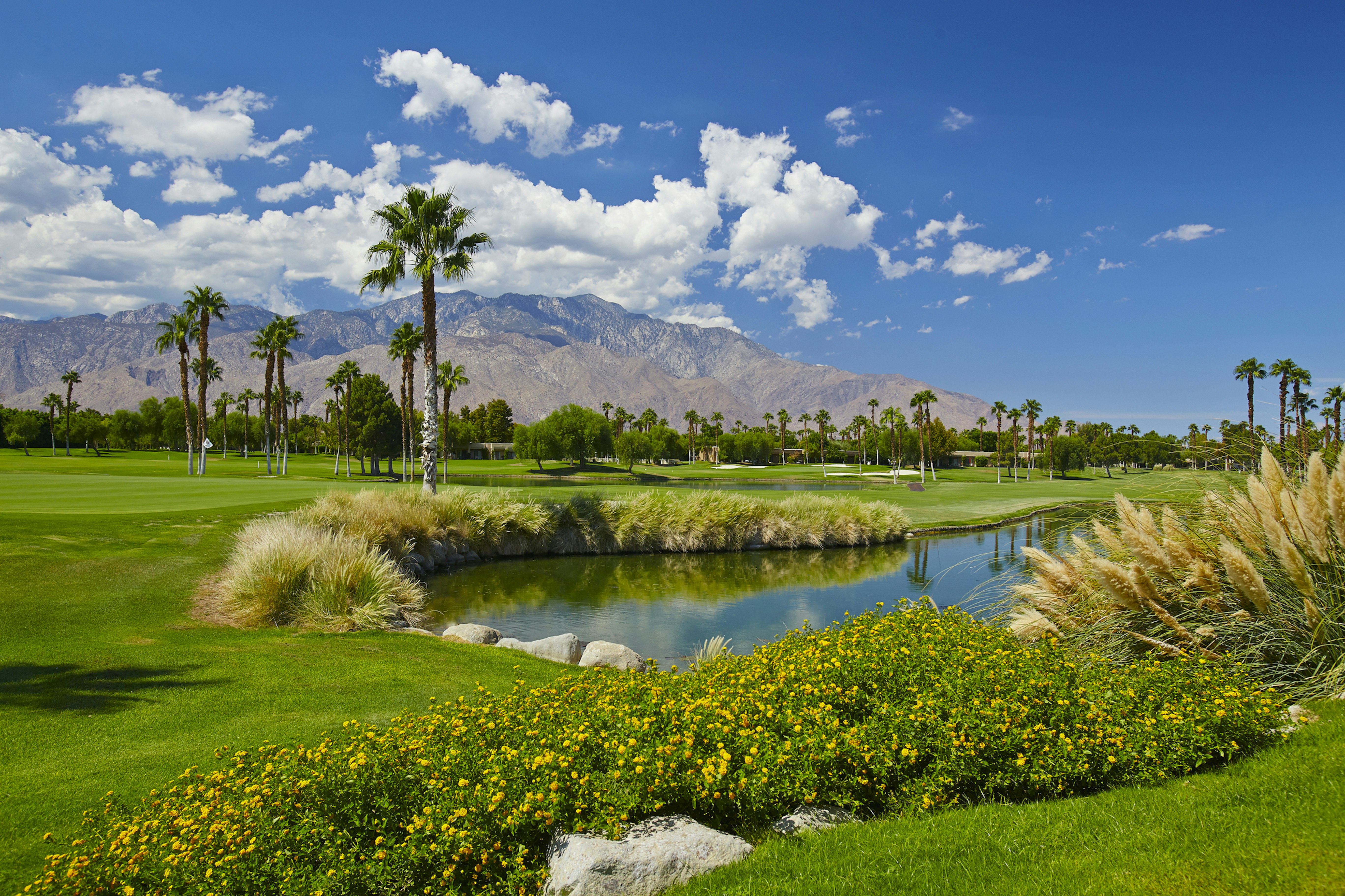 Doubletree By Hilton Golf Resort Palm Springs 72/81