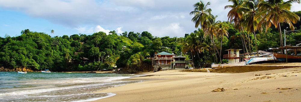 The Naturalist Beach Resort 15/19