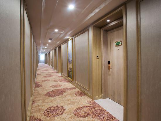 Vienna International Hotel (Mianyang High Speed Railway Station) 34/49