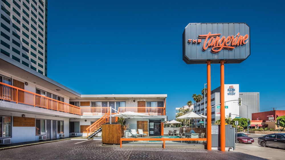 The Tangerine 41/43