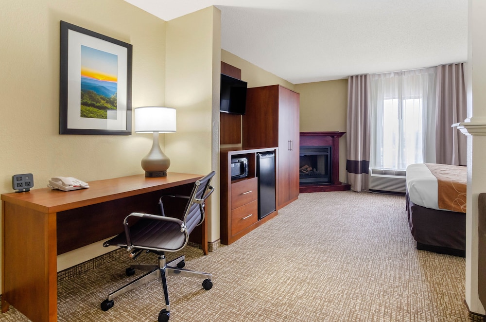 Comfort Suites Abingdon 33/40