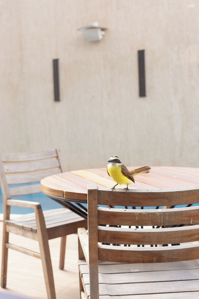 Nobile Hotel Araripina 35/41