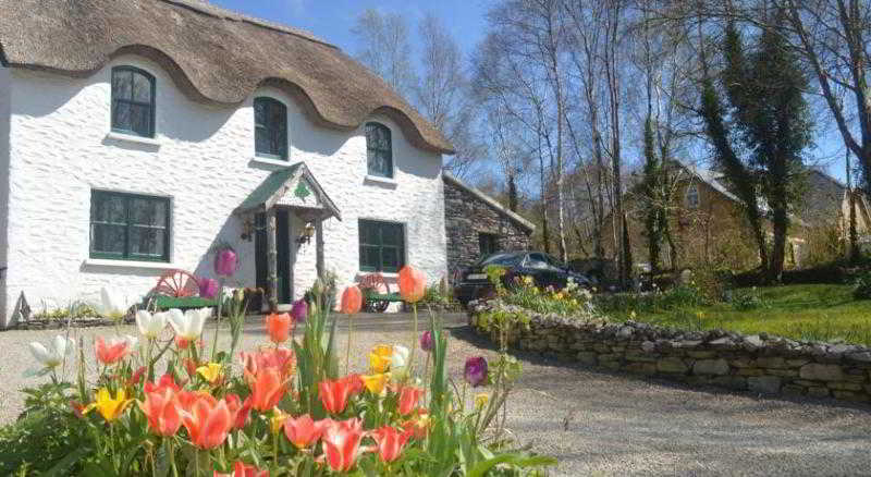 Lissyclearig Thatch Cottage
