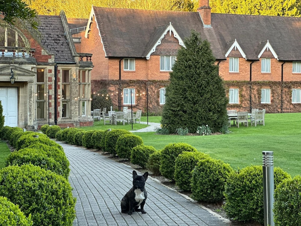 Audleys Wood Hotel 41/50