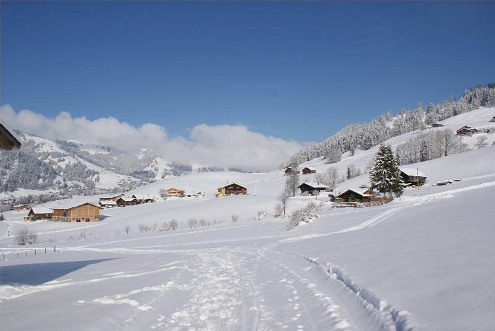 Hotel Le Grand Chalet 33/50
