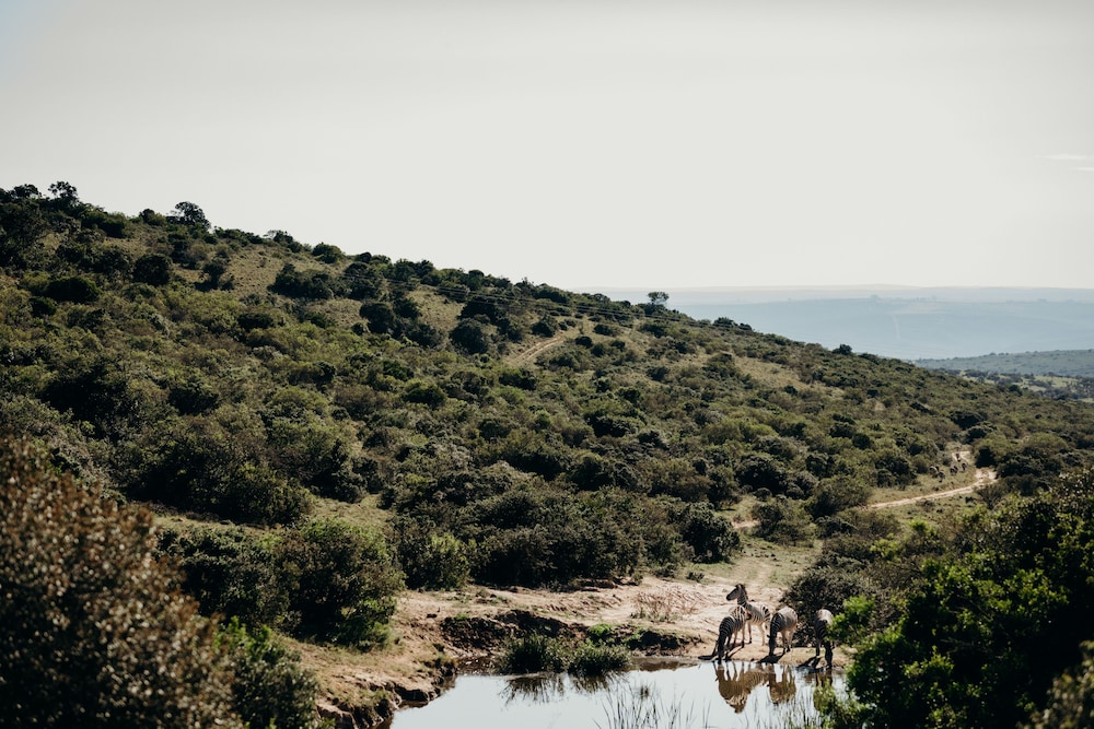 Bukela Game Lodge 53/59