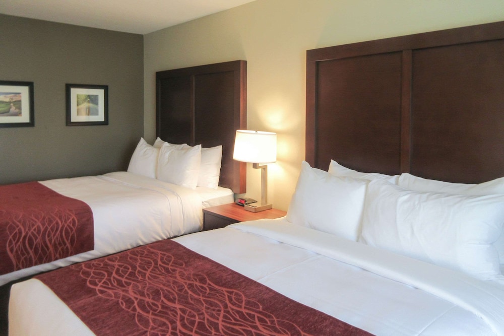 غرفة بسريرين كوين لذوي الإعاقة، Comfort Inn & Suites Gap Amish Country 2/6