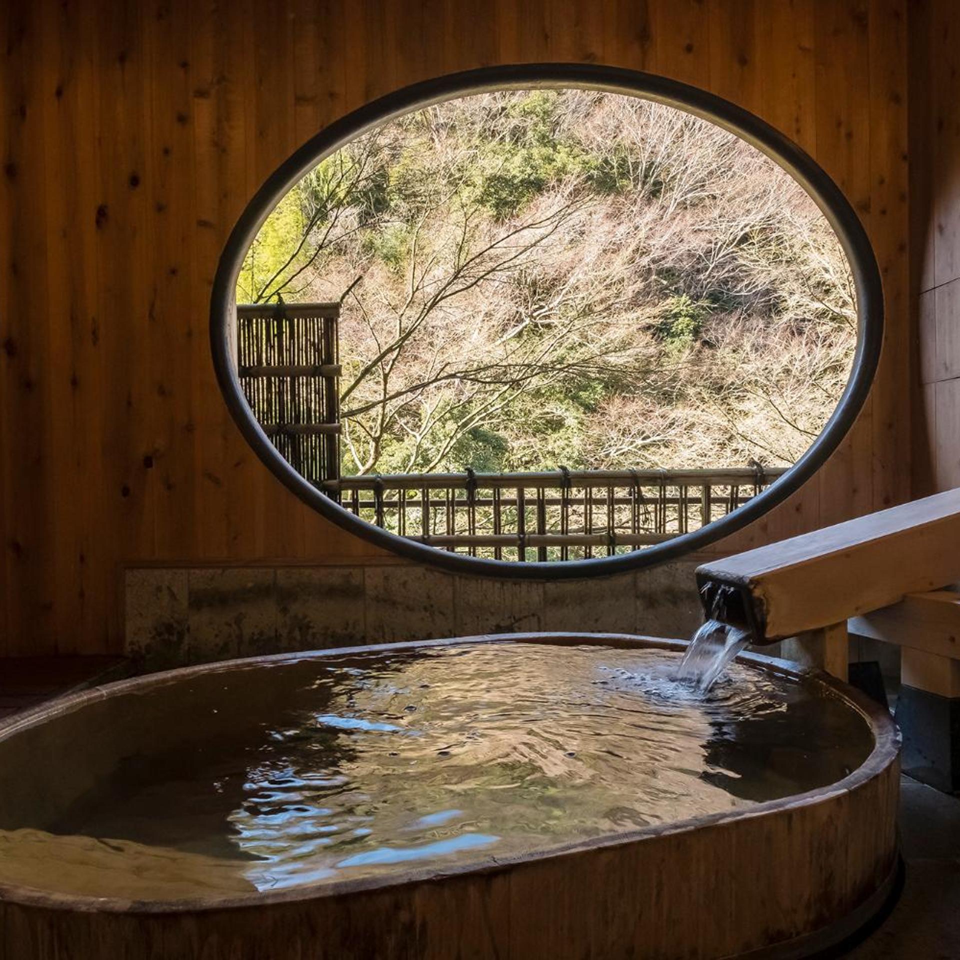 Hakone Tonosawa Onsen Shiunso 24/50