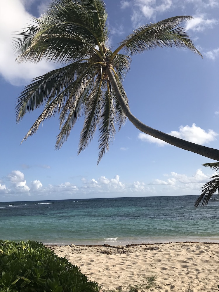 THE PALMS AT PELICAN COVE 60/66