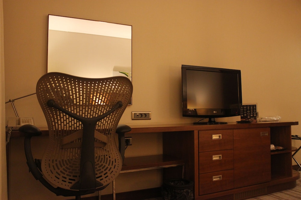 HILTON GARDEN INN KUTAHYA 47/52