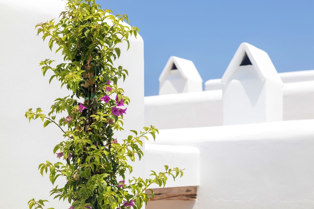 Agroturismo Can Toni Xumeu - Adults Only in SANTA EULALIA DEL RIO